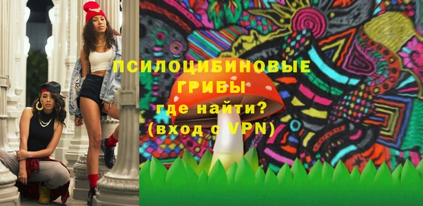 трава Абаза