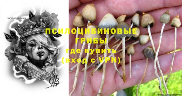 мяу мяу мука Покровск