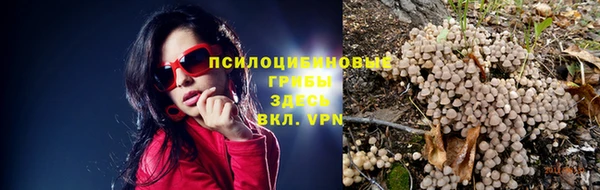 дурь Ветлуга