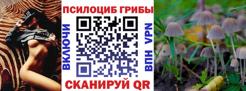 shop клад  omg маркетплейс  Карталы  как найти наркотики  Псилоцибиновые грибы прущие грибы 