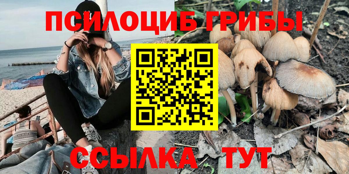 Карталы  как найти закладки  Вход с VPN  Галлюциногенные грибы мицелий 